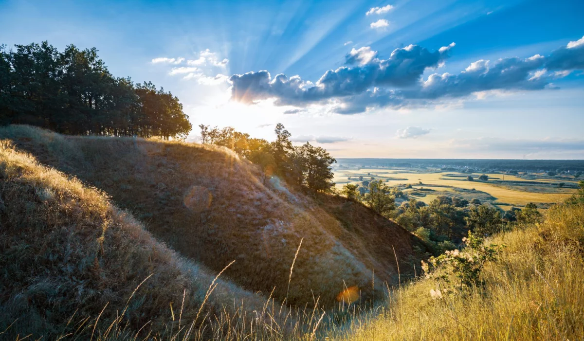 kjøpe kontorstoler rett?