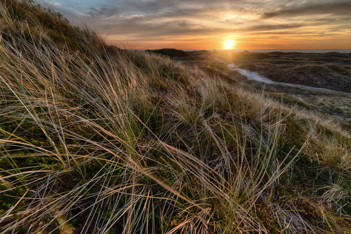 Poradnik zimowy - ogrzewanie